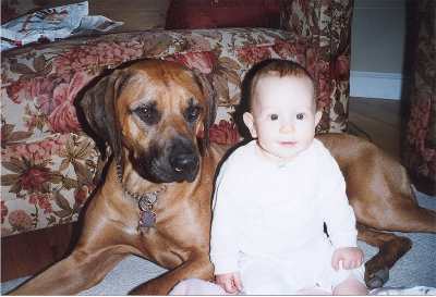 Chico with baby in living room